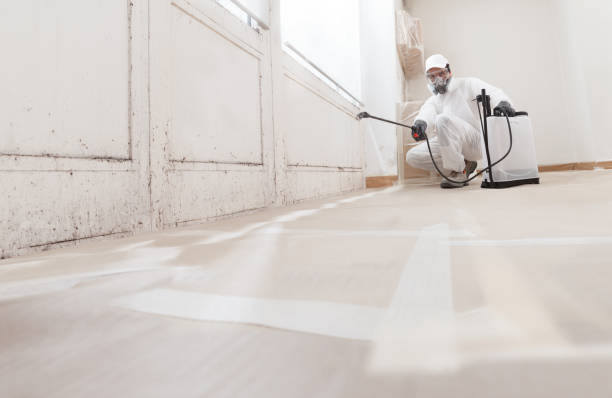 24/7 Emergency Mold Remediation experts in Bremerton, WA