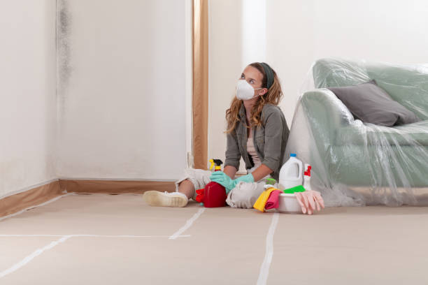 Reliable Mold Remediation contractor in Bremerton, WA by 24 Hour Mold Removal